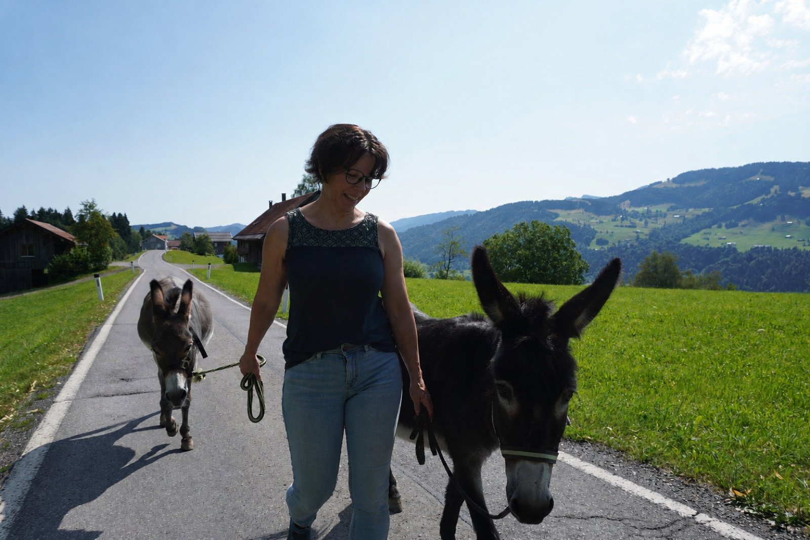Esel wandern mit glücklichen Gästen durch die Natur