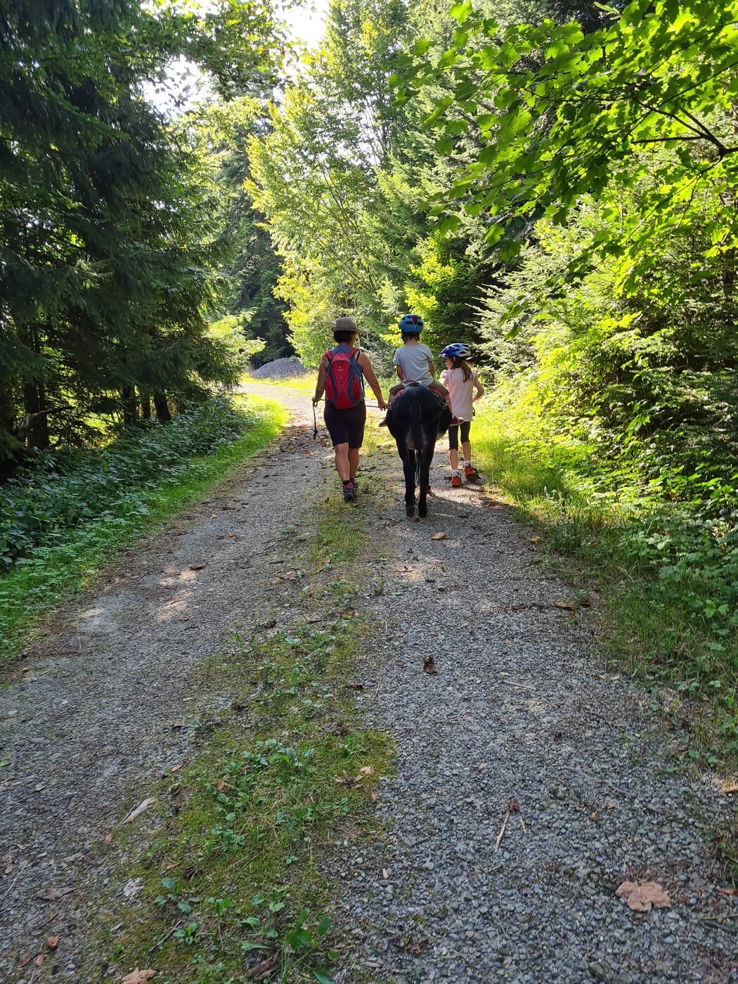Eindruck einer Eselwanderung im Sommer 1