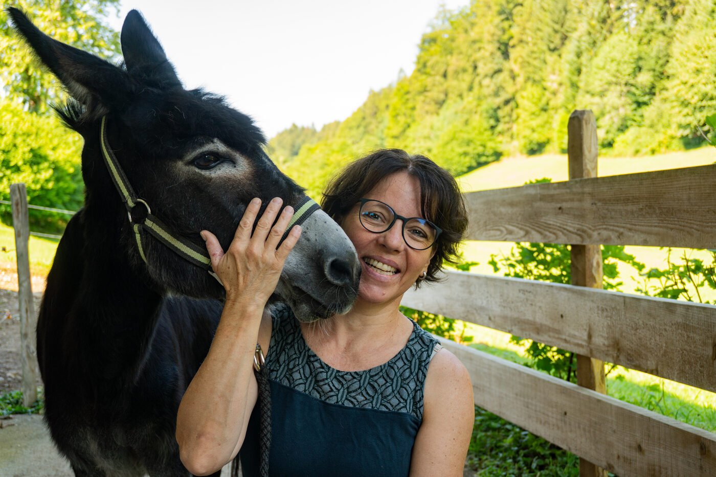 Eindruck einer Eselwanderung im Sommer 2