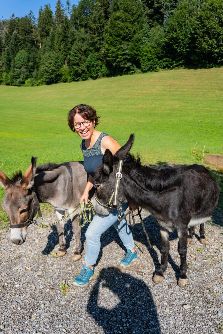 Eindruck einer Eselwanderung im Sommer 3