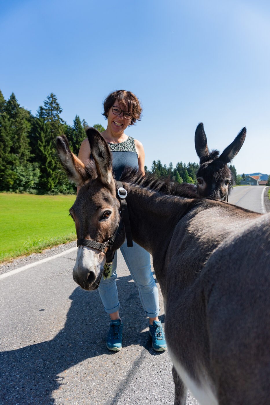 Eindruck einer Eselwanderung im Sommer 5