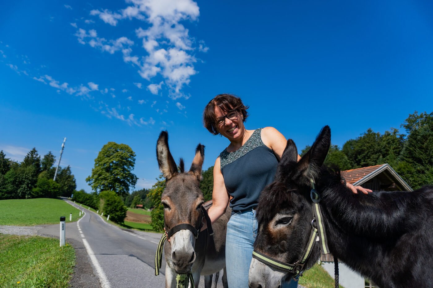 Eindruck einer Eselwanderung im Sommer 6