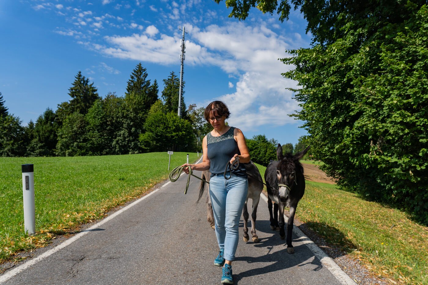 Eindruck einer Eselwanderung im Sommer 8