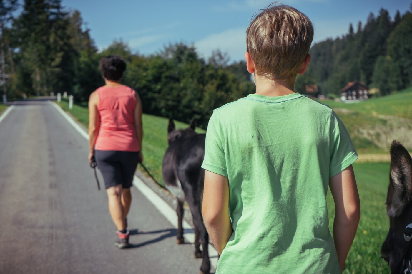 Eindruck einer Eselwanderung im Sommer 11