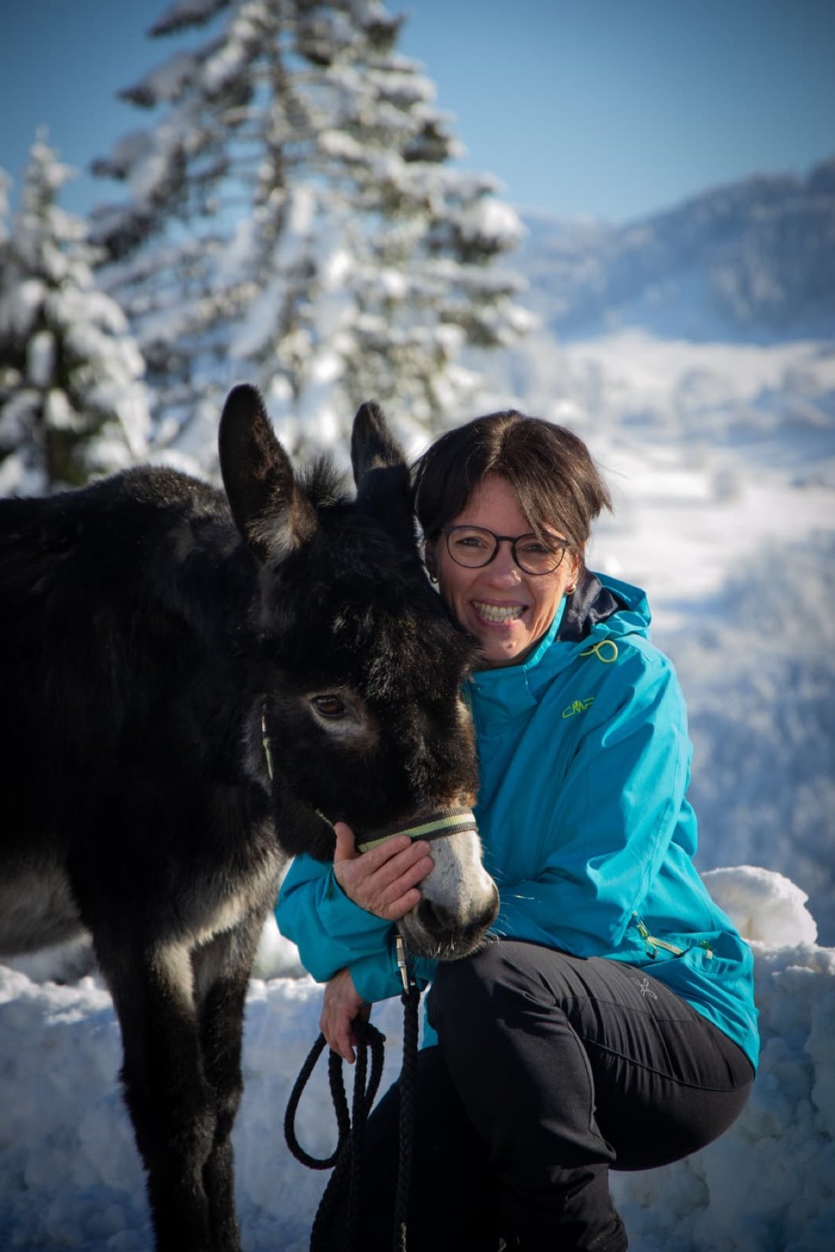 Eindruck einer Eselwanderung im Winter 2
