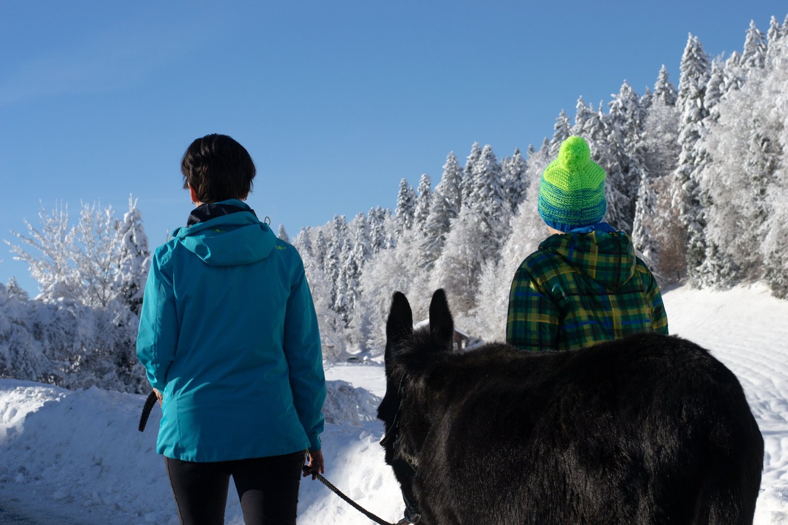 Eindruck einer Eselwanderung im Winter 3